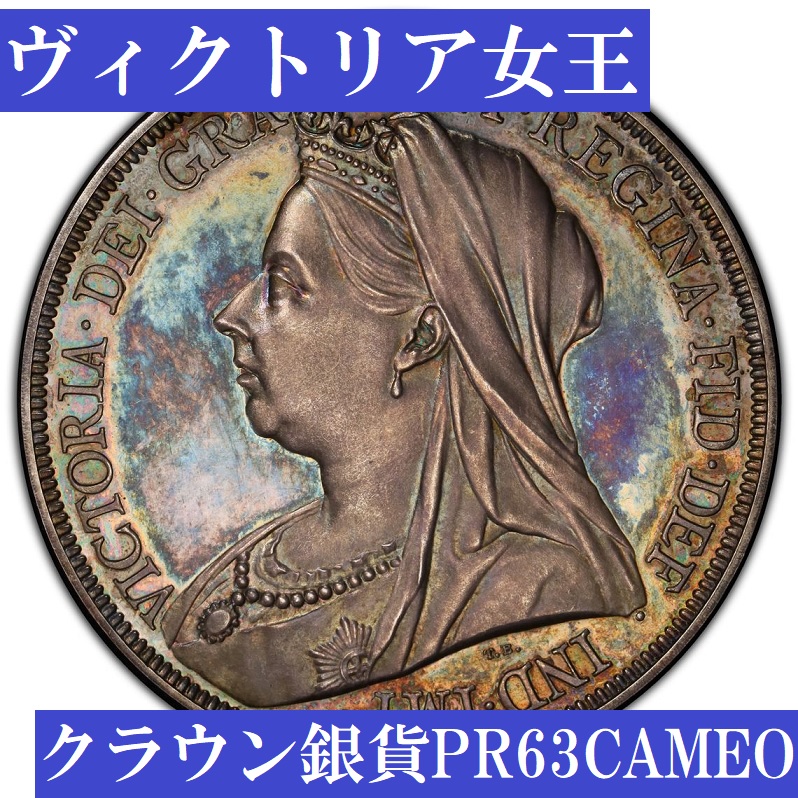 PCGS PR64CAM】1893年ヴィクトリア 1/2クラウンプルーフ銀貨 | www.esn