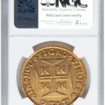 8243566-001