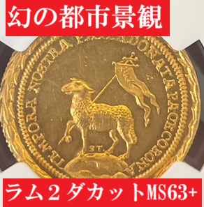 8361843-001