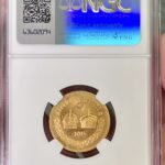 6648395-001