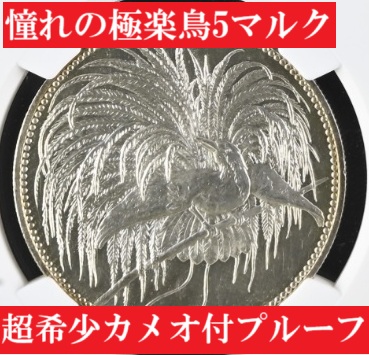 2019年 5マルク 記念コイン .9999銀 金・ロジウム仕上げ 000000007377_lZDDJGi.jpg