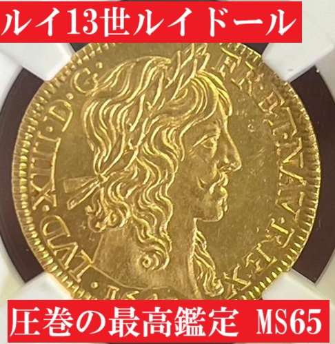 6613616-008