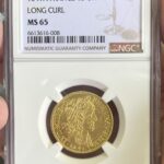 6613616-008
