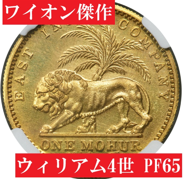 5746861-006
