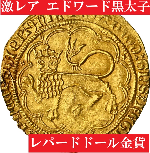 8663590-001